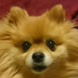 Meet your Posher, R.